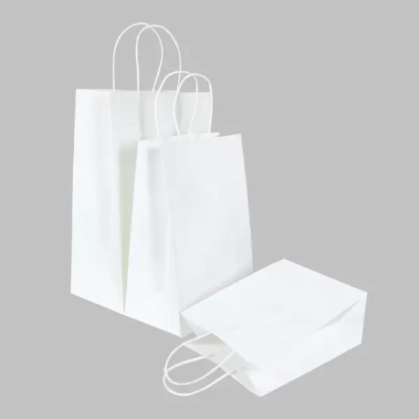 plain white kraft paper bag for food delivery