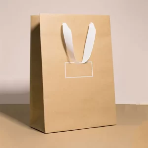 Natural Kraft paper bag with rope handle for shopping, gift, clothes , skin care products